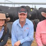 Angus cows with calves sell to $4040 at Tamworth store sale | The Land