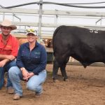 Industry confidence propels Murdeduke Angus bull sale result