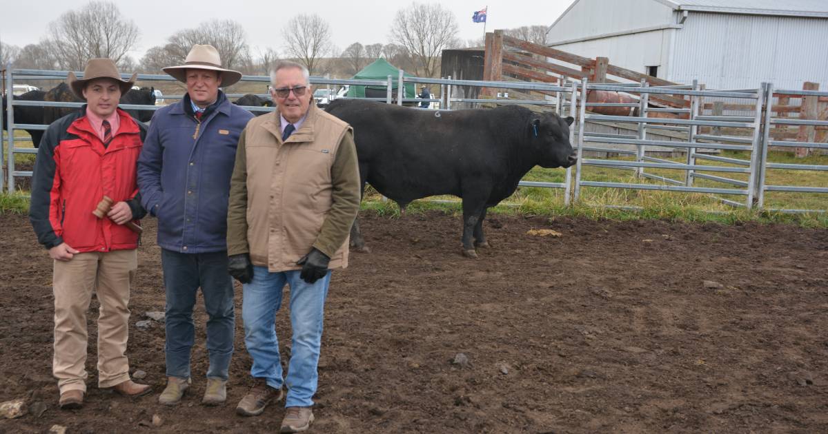 Glenavon Angus sale boosted by Queensland and Victorian volume buyers