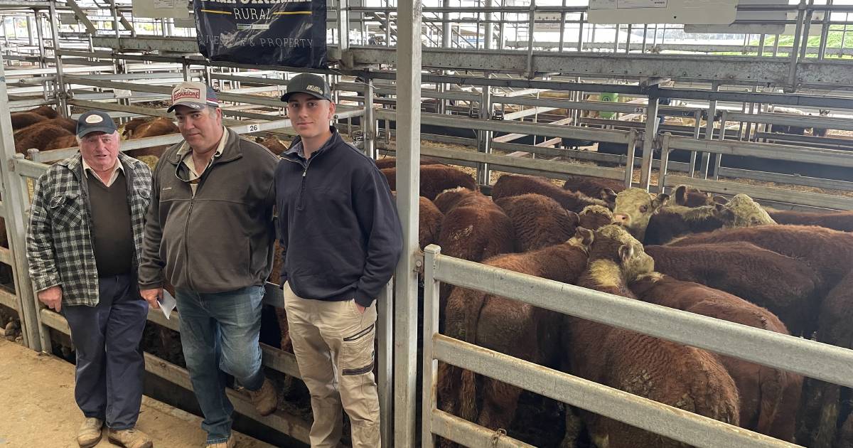 Wodonga cattle sale lifted by $40-$60 | The Land