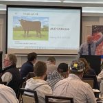 Wagyu females make six figure price tags at Toowoomba sale