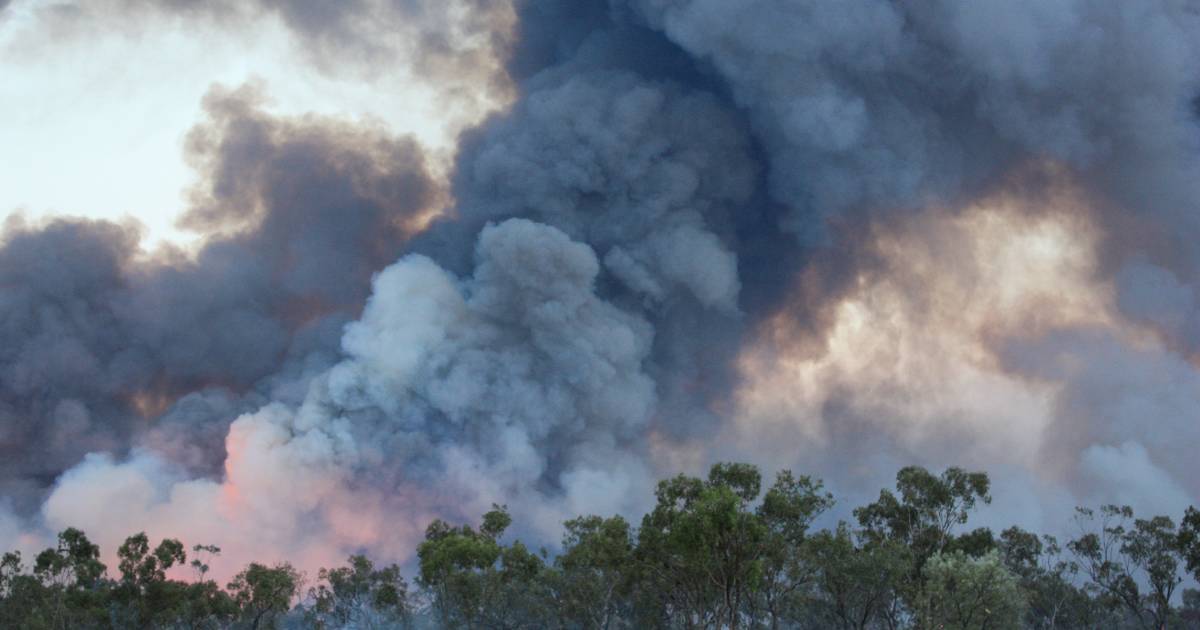 Fire forum hears warning of escalating fuel loads in SW Queensland | Queensland Country Life