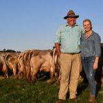 Weekly property review: What’s driving Bunderra Cattle Co’s +$120m investments in northern cattle land?