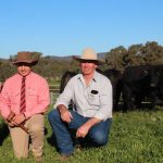 U8J Cattle Co tops second annual Exton Angus Invitational bull sale at Dalby | Queensland Country Life