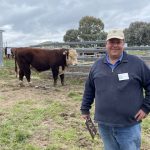 Towonga ram tops Dubbo Merino National Sale | Photos