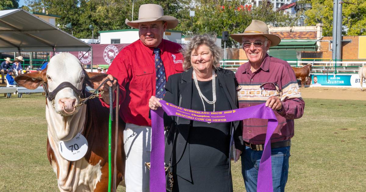 Founding Braford name claim top gongs at Ekka