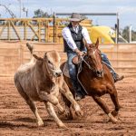 Opinion: Rodeos, road trips and bucking labels