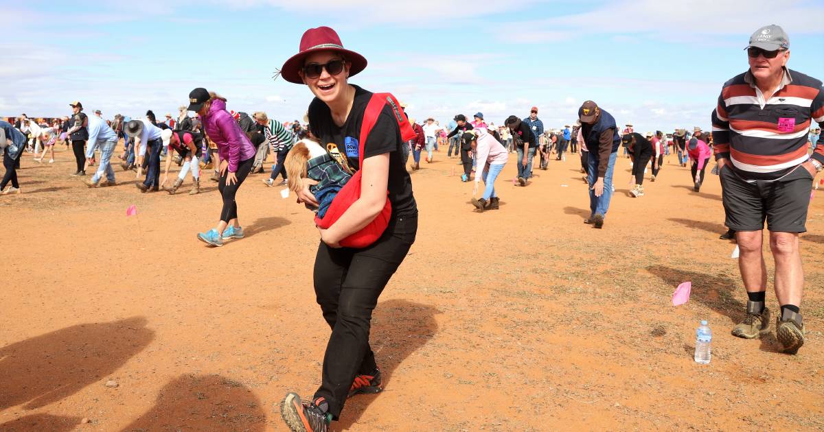 Mundi Mundi Bash Nutbush City Limits world record attempt falls short | The North West Star