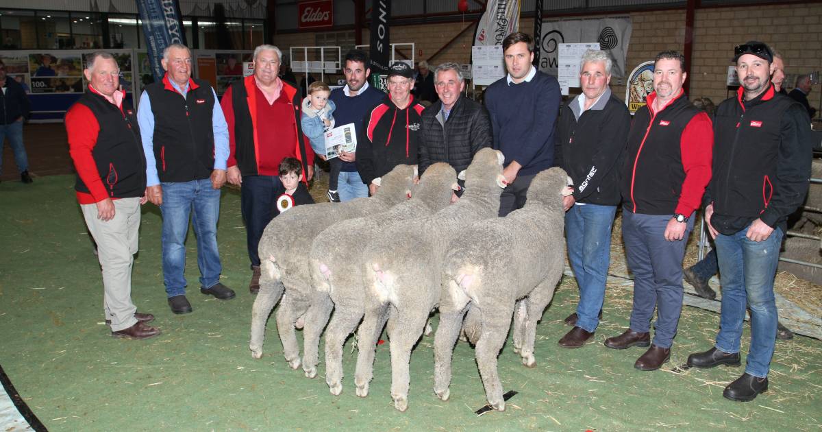 Kolindale and Woolkabin studs take wins at WA Sheep Expo & Ram Sale | Farm Weekly