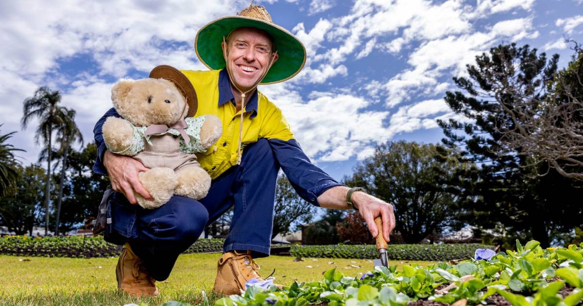 Tambo Teddies to host first Teddy Bears' Picnic