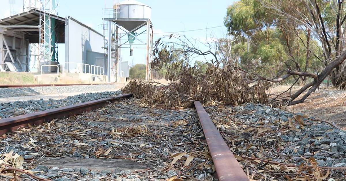 Growers seek grain and biosecurity answers