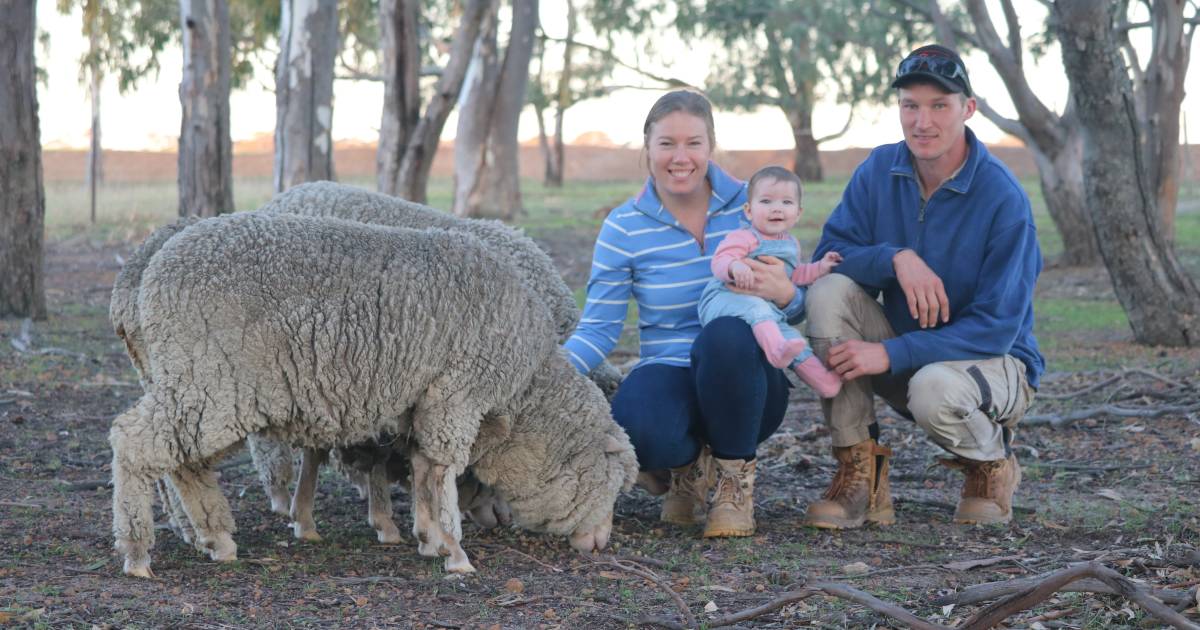 Merinos part of the big picture at Corrigin | Farm Weekly