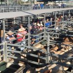 Australian experts to strengthen international animal health