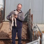 Yearling steers and heifers in demand at Toowoomba