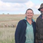 Brangus steers make $1460 at Woodford