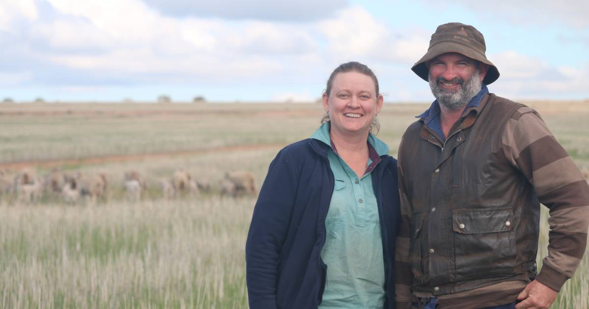 Breed and feed are crucial on Bruce Rock farm | Farm Weekly