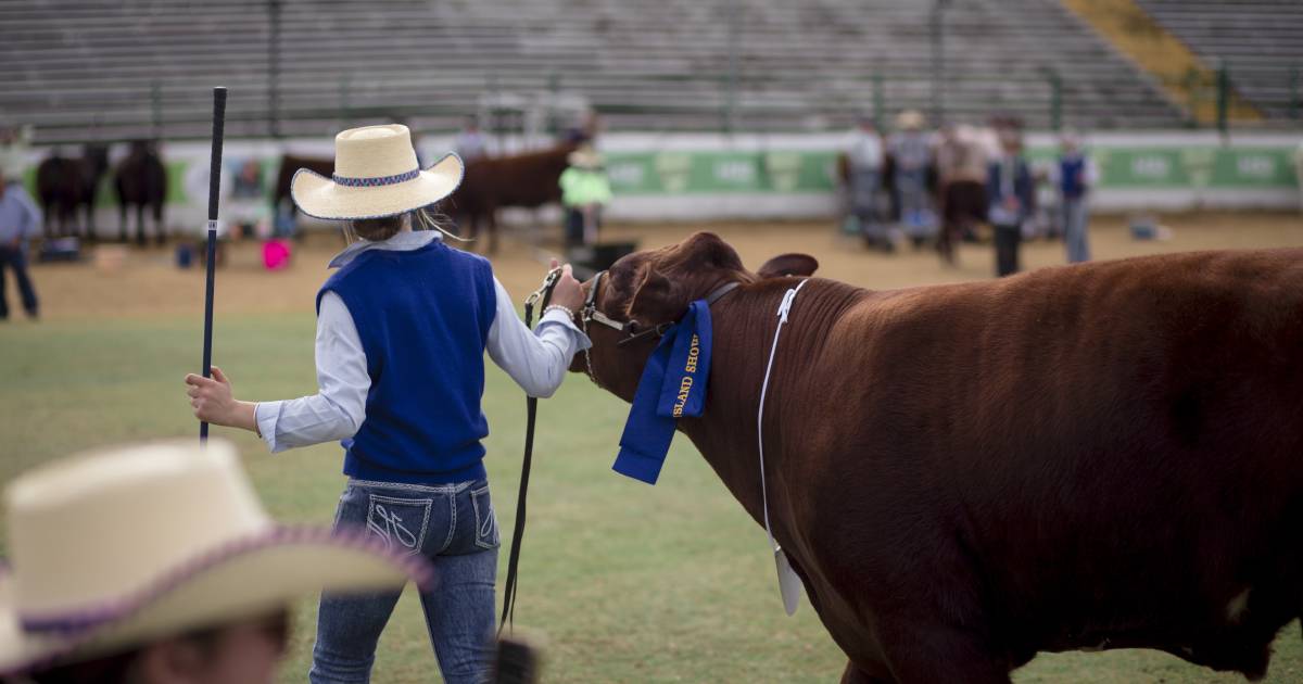 Funding boost for future Qld ag shows