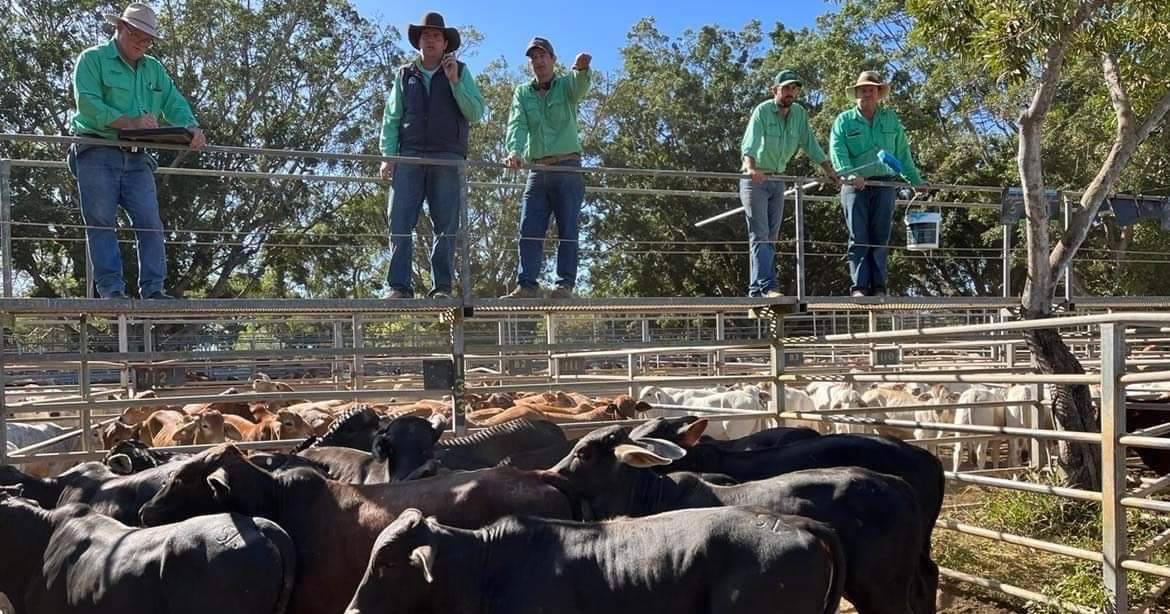 Prices remain on par at Nutrien Mareeba store sale