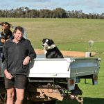 Glenmorgan tops at $24,000 and averages $11,325 for total clearance of 80 bulls | The Land