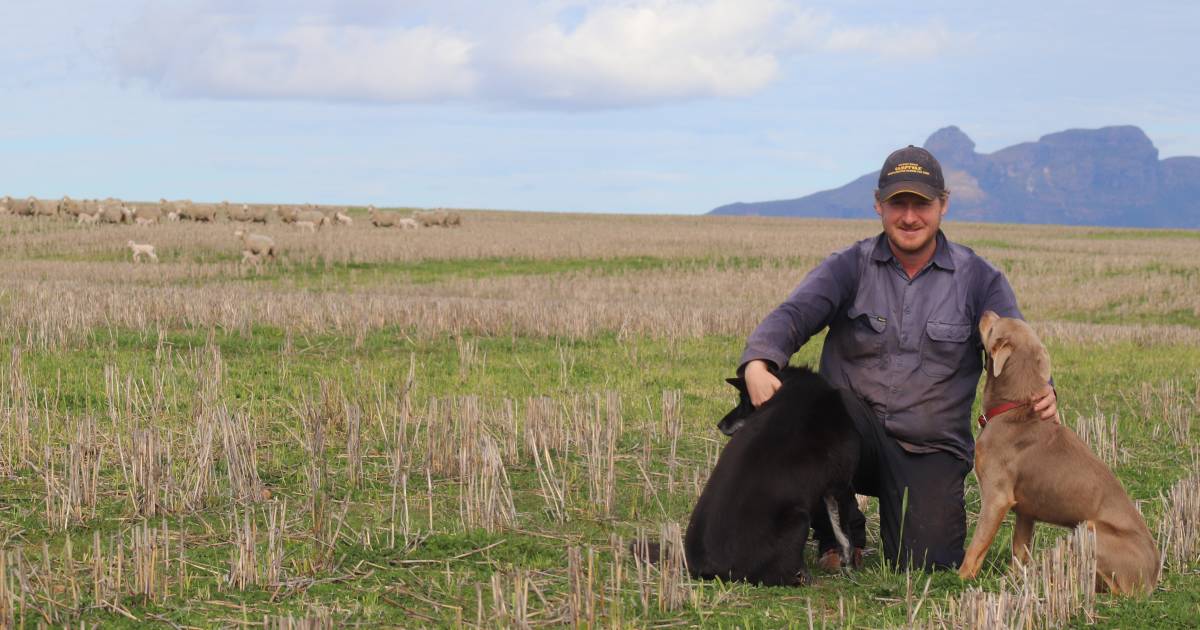 Lure of family farm too strong