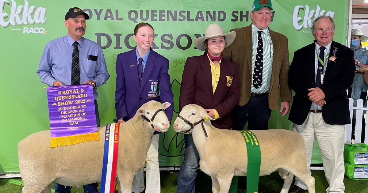 Sovereign rams home a win in Ekka interbreed competition