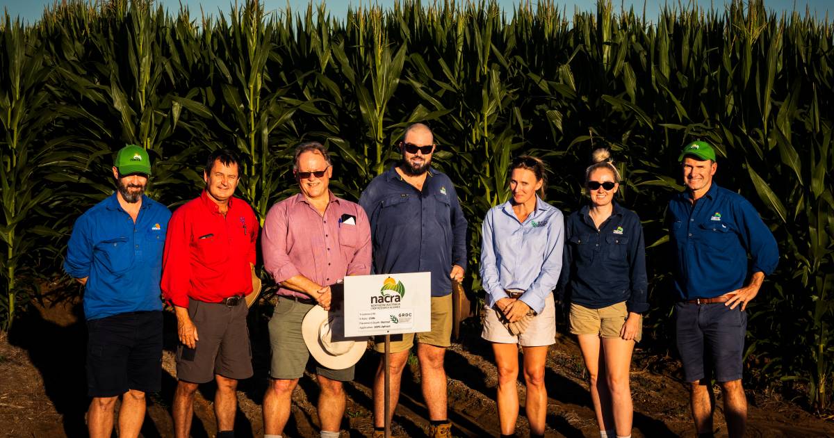 Nitrogen a focus at Northern Australia Crop Research Alliance field day | Farm Weekly