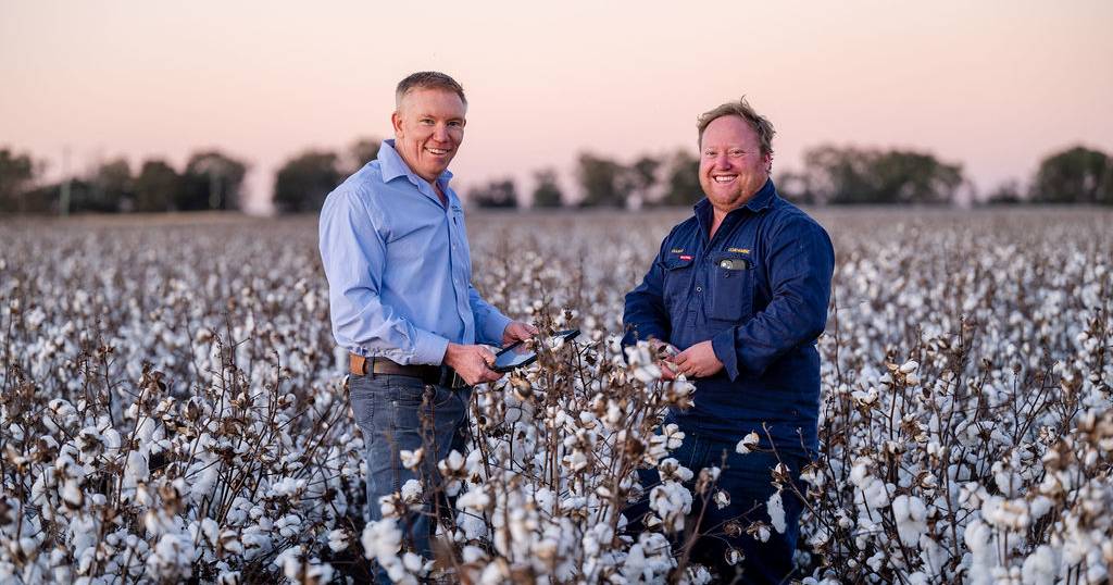 DataFarming’s Tim Neale says farmers are not to blame for slow technology adoption | Queensland Country Life