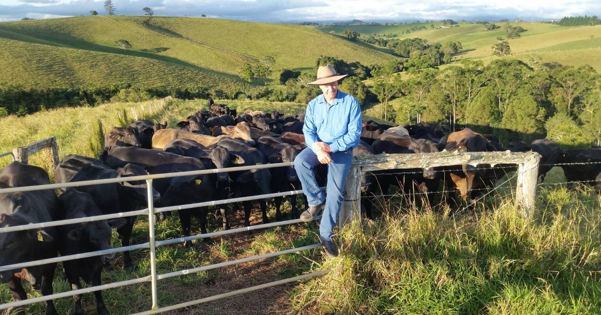 Malanda producer turns to rainforest to combat soil erosion