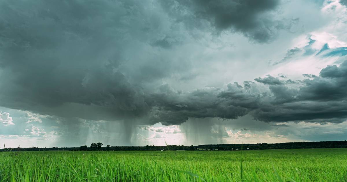 More severe weather could be on the way | The Land