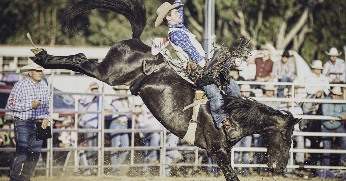 Rodeo competition heats up