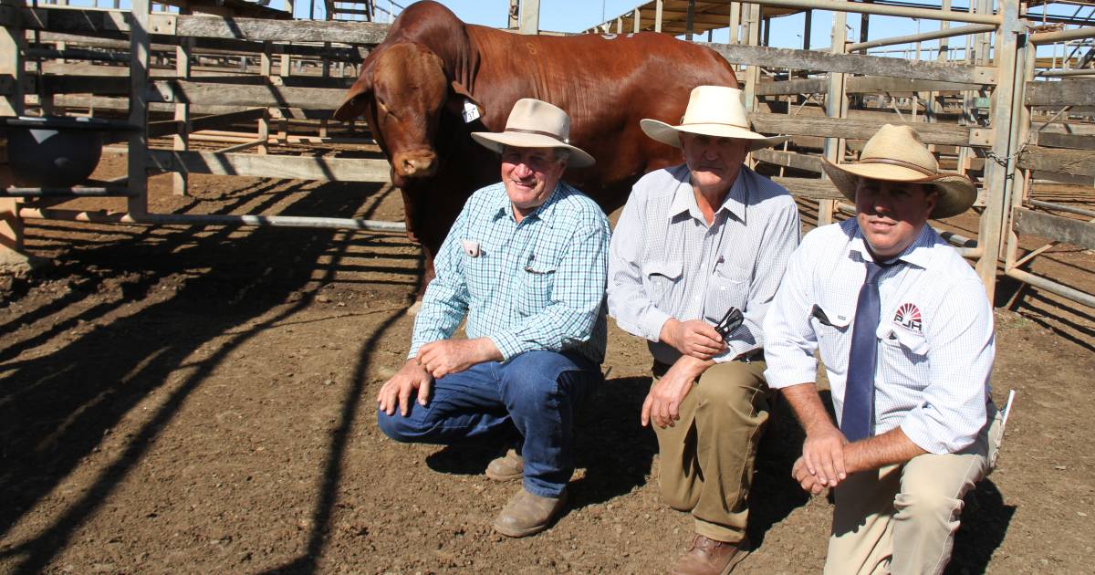 Heartland Santa sale to hit 30 in style | Queensland Country Life