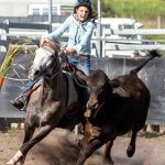 K-State Beef Stocker Field Day set for Sept. 29