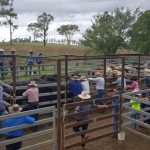 Mount Isa School of the Air holds annual Gregory mini-school | The North West Star