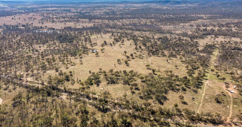 Greymare country delivers breeding, backgrounding options | Video