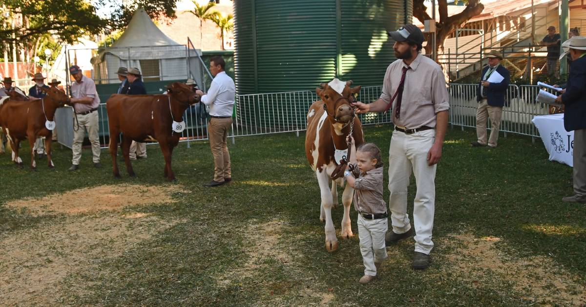 Ekka 2022: Henry family celebrates five generations of showing dairy cattle at the Ekka | Queensland Country Life