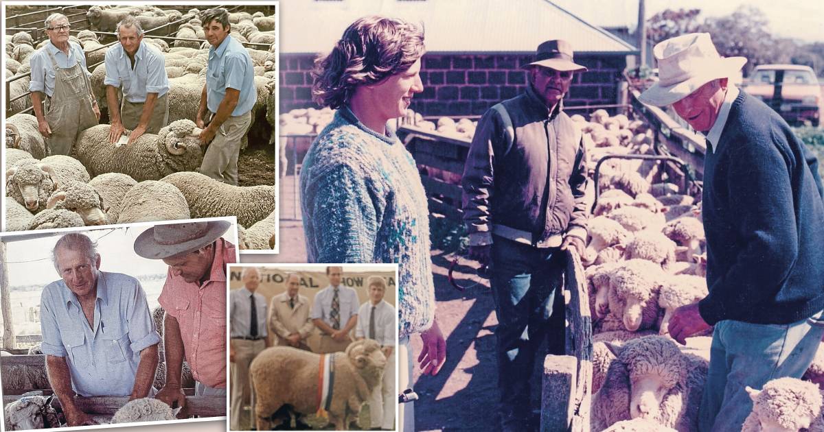 Vale Dick Jago – master sheep classer remembered for his integrity and skill | The Land