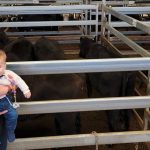 WALRC hosts Livestock Matters forum in Fremantle | Farm Weekly