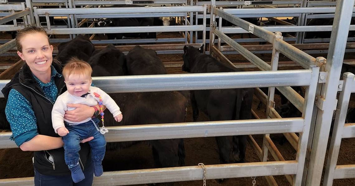 Angus cows with calves sell to $4040 at Tamworth store sale | The Land