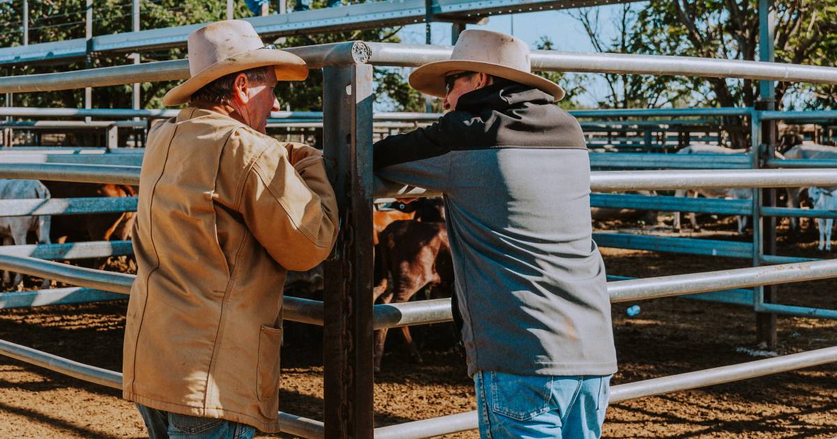 Talk of the Town: Saleyards are the place to make new mates