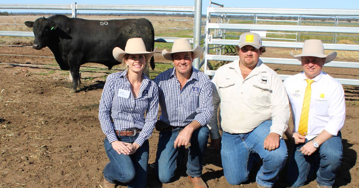 Inaugural JK Cattle Company sale tops at $36,000 twice