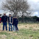 Brahman cross heifers reach 514c to return $1430 at Charters Towers store sale | North Queensland Register