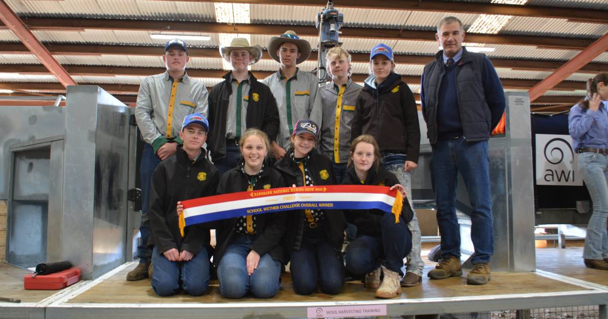 Gunnedah High School at the top of the NSW School Merino Wether Challenge