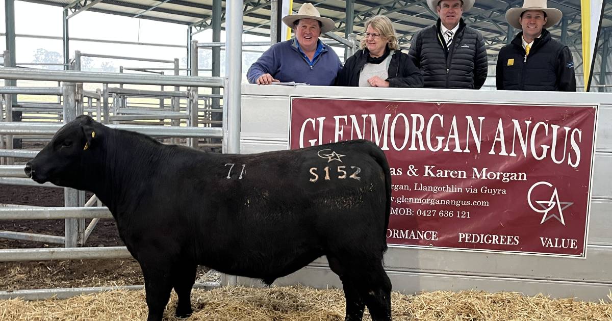 Glenmorgan tops at $24,000 and averages $11,325 for total clearance of 80 bulls | The Land