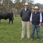 MLA partners with Agcotech and Sydney Uni to reduce livestock methane output