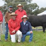 New top for Rennylea Angus