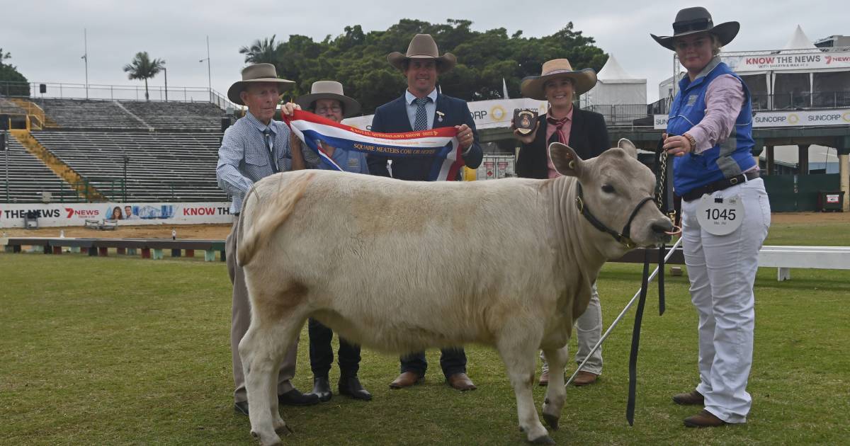 Ross family stands tall in Ekka's Square Meaters ring