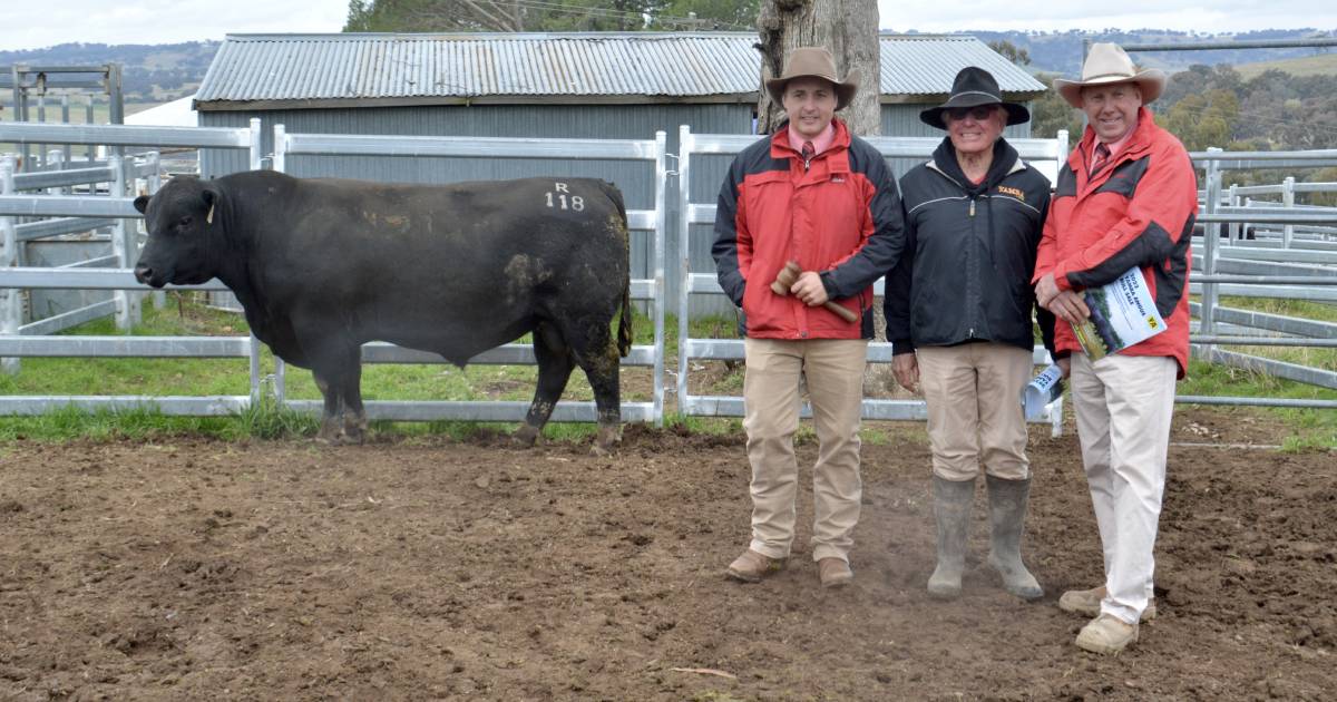 Qld buyer strikes again, this time at Yamba Angus