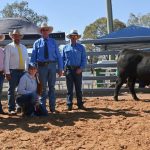 Strong repeat buyer support at Dunoon Angus