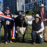 Bridgewater Performance Angus tops at a record $35,000, with 37 lots averaging $13,594 | The Land