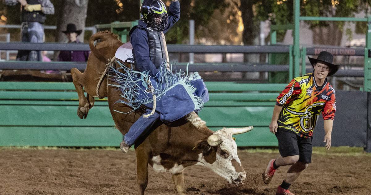 Rockhampton bull rider Jacob Carige wins YBR world champion bull ride title in the US | Queensland Country Life